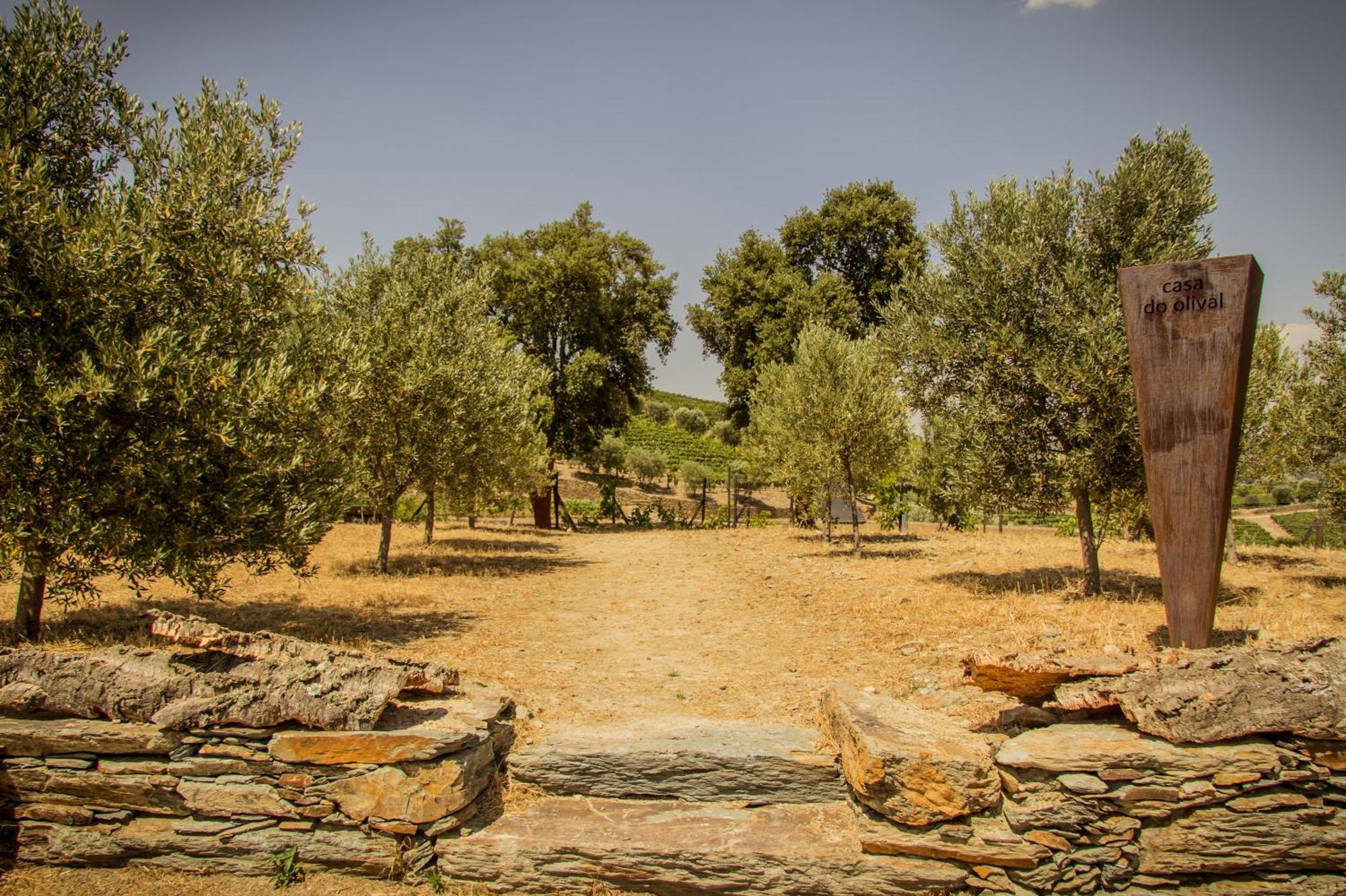 Quinta Vale Das Papas Casal de Loivos Buitenkant foto
